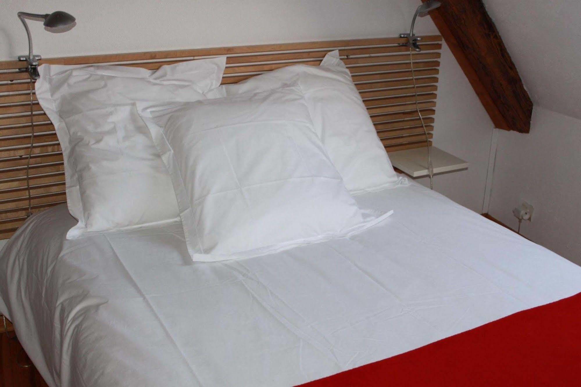 Les Appartements De Home Petite Venise Colmar Exterior photo