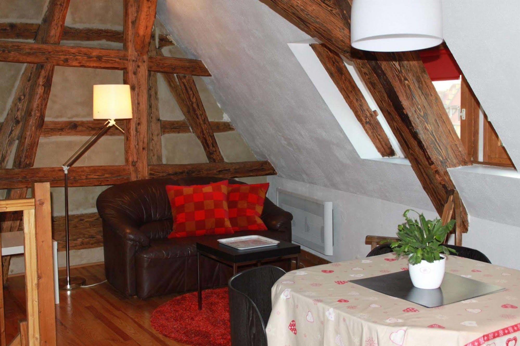 Les Appartements De Home Petite Venise Colmar Exterior photo